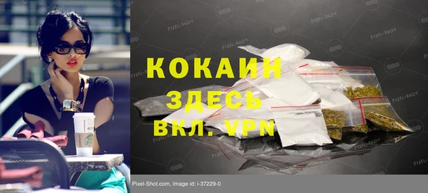 шишки Покачи
