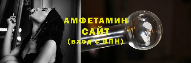 шишки Покачи