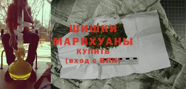 шишки Покачи