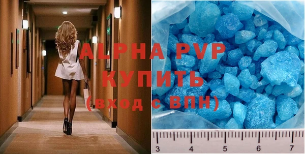 шишки Покачи