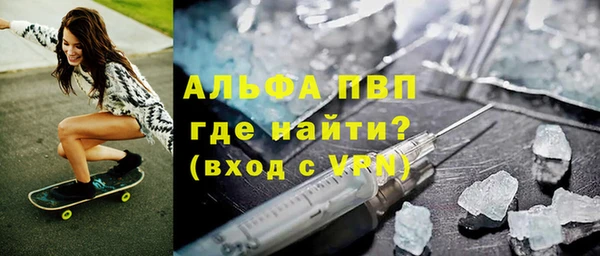 шишки Покачи