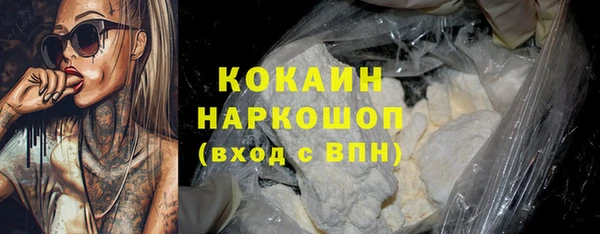 шишки Покачи