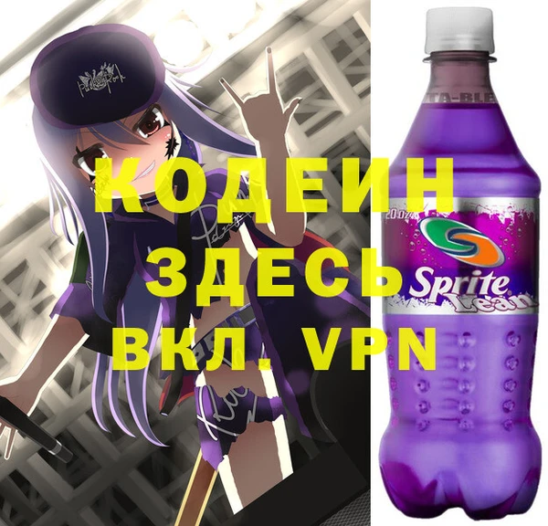 шишки Покачи
