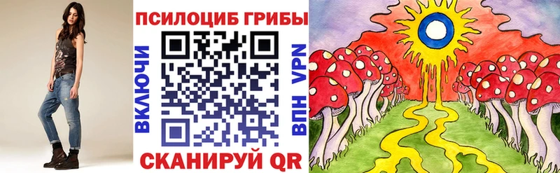 Галлюциногенные грибы Cubensis Облучье